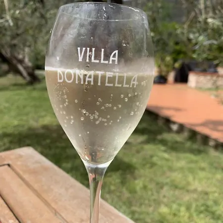 Donatella